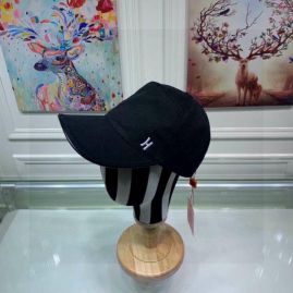 Picture of Hermes Cap _SKUHermesCapdxn042897